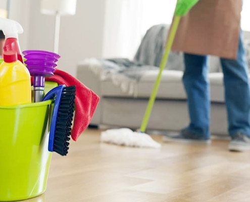 ev temizliği, ev temizlik personeli, ev temizlik elemanı, gündelik temizlikçi firmaları