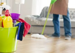 ev temizliği, ev temizlik personeli, ev temizlik elemanı, gündelik temizlikçi firmaları
